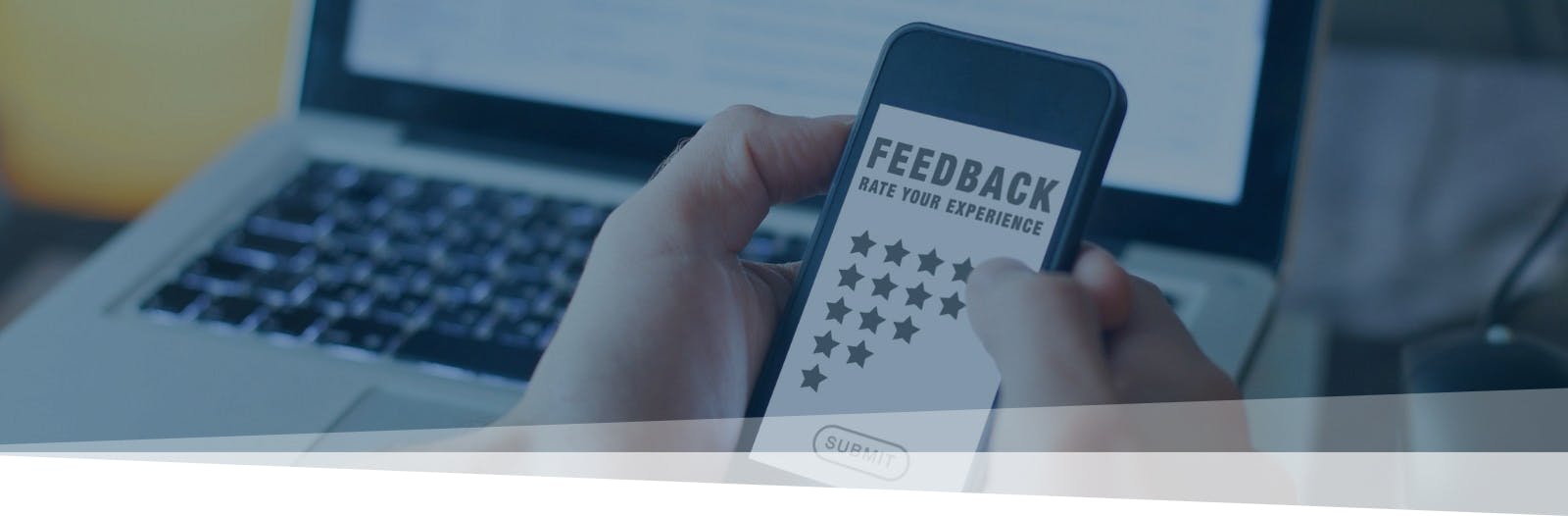 Reviews page header